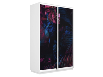 Шкаф-купе Экспресс 2-х дверный (Фото №1004 Джунгли темные)