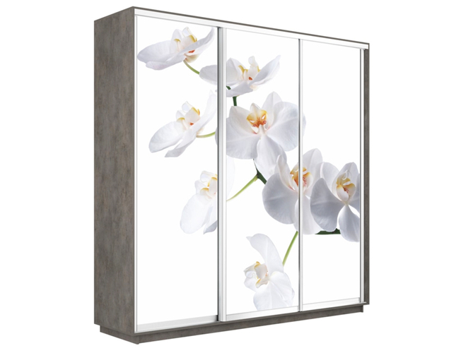 Шкаф-купе Экспресс Люкс 3-х дверный (Фото №1025 Орхидея белая), Бетон