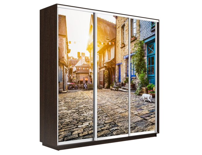 Шкаф-купе Экспресс 3-х дверный (Фото №1022 Улица), Венге